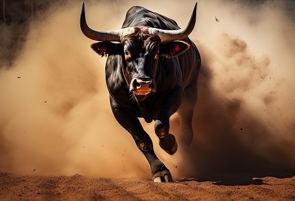 May 2025 Pricing Commentary